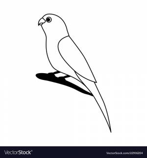 Канарейка раскраска