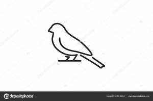 Птичьи Линии Современной Формы Маленькая Иконка Символа Логотипа Канарейки Иконка Векторное изображение ©devastudios 476036684
