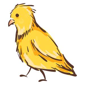 векторная иллюстрация желтой канарейки на белом фоне PNG , канарейка, птица, отдельные PNG картинки и пнг рисунок для й загрузки