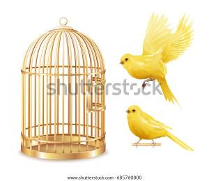 Набор канарских клеток из изолированной пустой