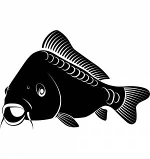 Трафареты Карпа