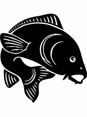 Трафареты Карпа