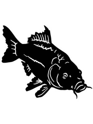 Трафареты Карпа