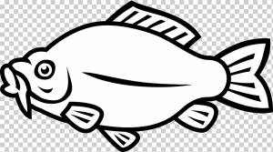 Кои Золотая рыбка Карп, золотая рыбка, белый, лицо, животные png