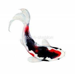 ШАБЛОН КАРП КОИ