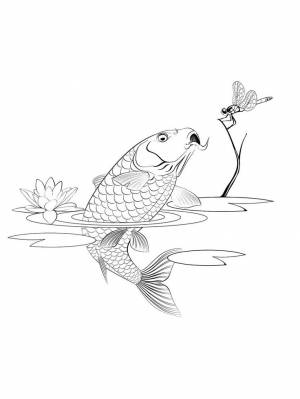 Carp coloring pages