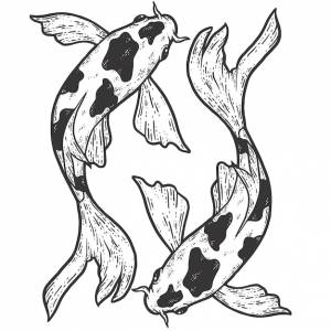 Два карпа кои, движущиеся по кругу