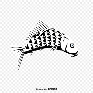 карп черно белые иллюстрации PNG , рыбы, рыба, прыгать PNG картинки и пнг PSD рисунок для й загрузки