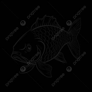 рисунок контура рыбы вектор Fmfoe Sketch PNG , рисунок рыбы, рисунок крыла, рисунок карпа PNG картинки и пнг рисунок для й загрузки