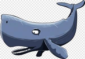 Кашалот китообразные горбатый кит мультфильм рисунок, кашалот, комиксы, морские млекопитающие, млекопитающие png
