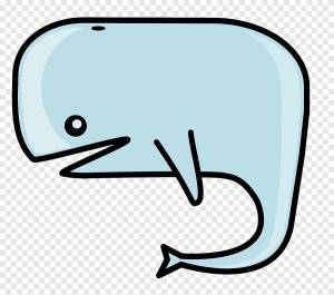Кашалот косатка, кит, угол, животные png