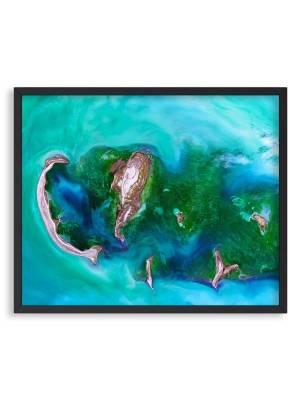 Млекопитающие в каспийском море