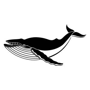 Трафарет кита