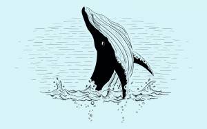 Трафарет кита