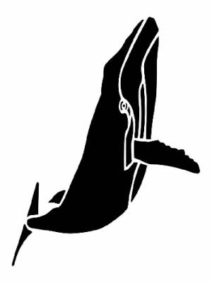 Трафареты Кита