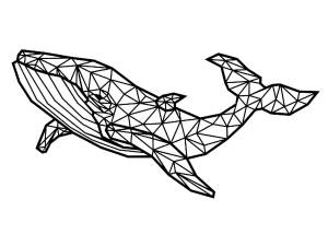 Трафареты Кита