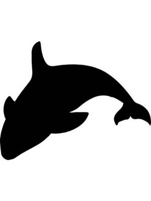 Трафареты Кита