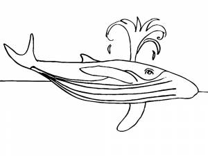 Раскраска Кит