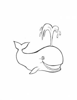 Раскраска Кит