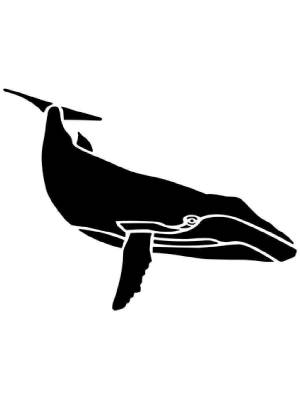 Трафареты Кита