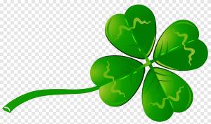 Четырехлистный клевер Shamrock, клевер, лист, завод Стебель png