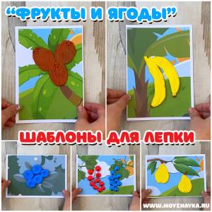 Шаблоны для лепки Лепим фрукты и ягоды