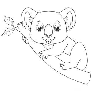 Раскраска Коала