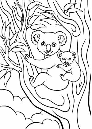 Коала с детёнышем на дереве