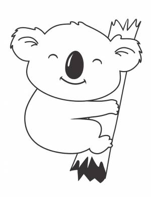 Коала детский рисунок