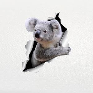 Автомобильная наклейка Koala Pet Animal, водонепроницаемая виниловая наклейка, автомобильные аксессуары, декоративные наклейки для автомобиля