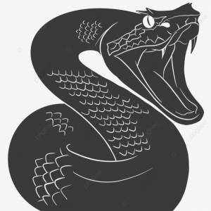 Силуэт гадюки PNG , змея, гадюка, рептя PNG картинки и пнг рисунок для й загрузки