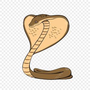 кобра PNG и картинки пнг