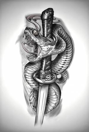 Pin by rafael martins on Complemento