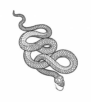 Пин от пользователя Екатерина на доске Tattoo