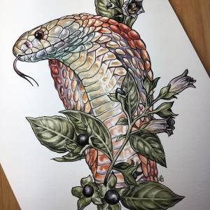 Животное кобра