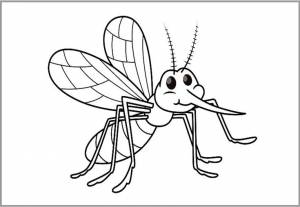 Шаблон комара