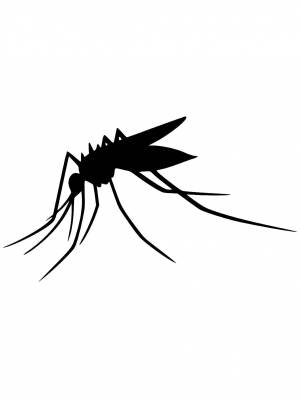 Трафареты Комара