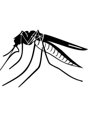 Трафареты Комара
