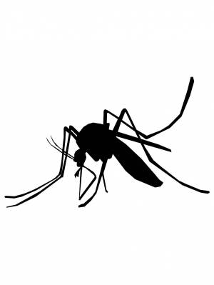 Трафареты Комара