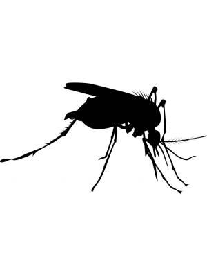 Трафареты Комара