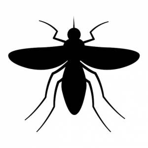 Шаблон векторного логотипа комара