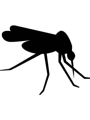 Трафареты Комара