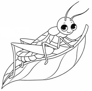 Раскраски насекомых    , шаблоны насекомых для вырезания