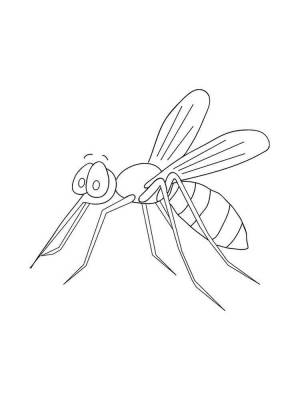 Раскраски Комар