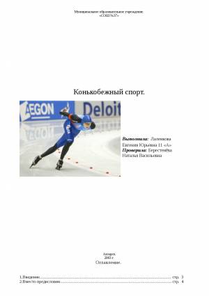 Конькобежный спорт