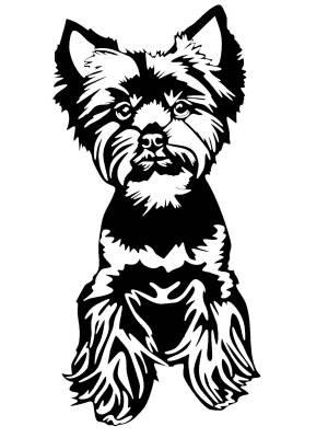 Трафареты Йоркширского Терьера