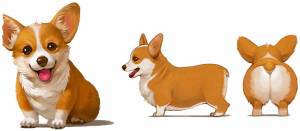 Корги иллюстрация