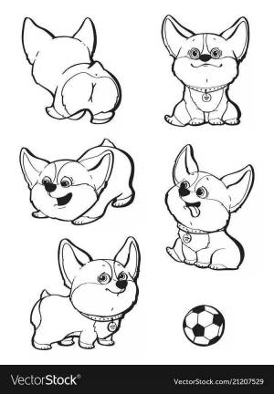 Раскраски милые собачки корги
