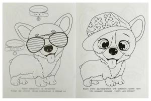 Забавный корги