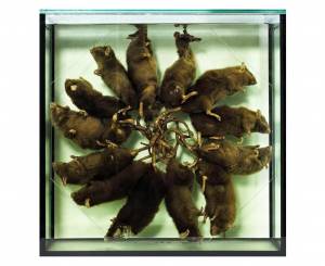 Крысиный король